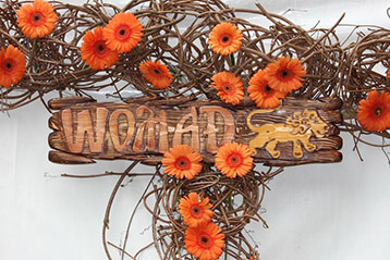 Фестиваль WOMAD