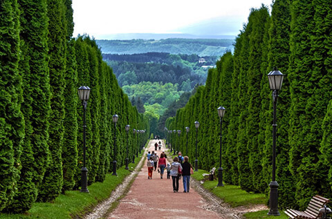 Иногородним